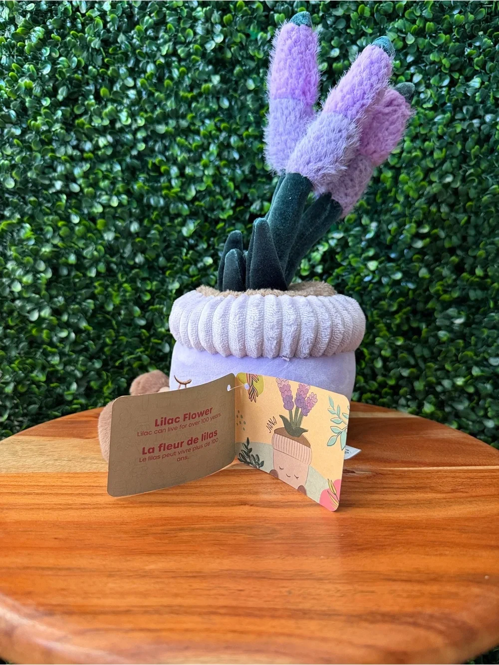 Greenhouse by Russ Jana the Lilac Flower 12” Plush